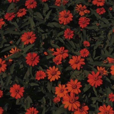 南宫ng28娱乐官网入口